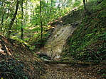 IMG_20211015_145828_resize_2