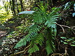 IMG_20211015_145258_resize_2