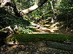 IMG_20211015_145114_resize_2