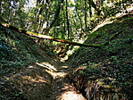 IMG_20211015_145331_resize_2