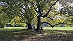 IMG_1649
