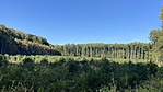 IMG_1791