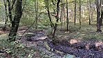 IMG_1795