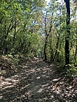 IMG_7290