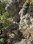 IMG_7301