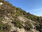 IMG_7304