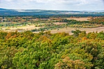 _DSC3995