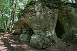 _DSC4059