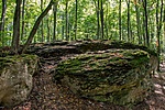 _DSC4063
