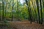 _DSC4300