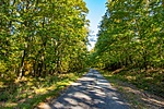 _DSC4316