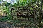 _DSC4326