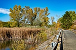 _DSC4325