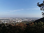 IMG_20211017_152001