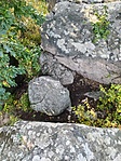 IMG_20210926_115540