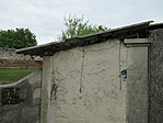 IMG_4794