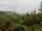 IMG_7159