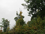 IMG_7160