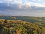 Panoráma