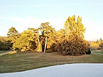 IMG_20211028_163043