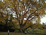 IMG_20211028_171320
