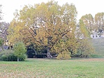 IMG_20211028_171200