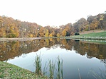 IMG_20211028_170239