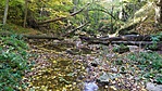 IMG_20211023_103338