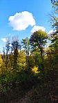 IMG_20211023_111639