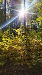 IMG_20211023_111854
