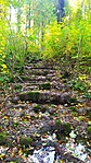IMG_20211023_112716