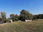 IMG_20211002_132259