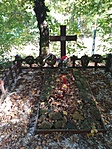 IMG_20211017_114238.jpg