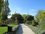 IMG_2925