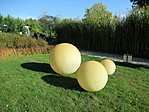 IMG_2933