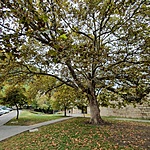 Ivócsarok a rejtek irányából