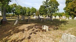 IMG_20210930_142807