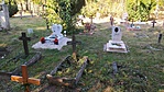 IMG_20211028_115748