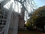 IMG_20211022_122228