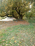 20211026_115737