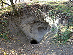 Bárcaházi-barlang