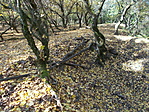Pákozdvár