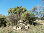 A P3-on döngettem az 1. pont felé