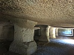IMG_20211009_115526