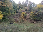 IMG_20211021_141655