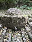 IMG_20211021_143304