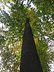 IMG_20211021_161803