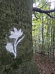IMG_20211021_160959