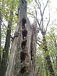 IMG_20211021_161307