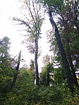 IMG_20211021_161434